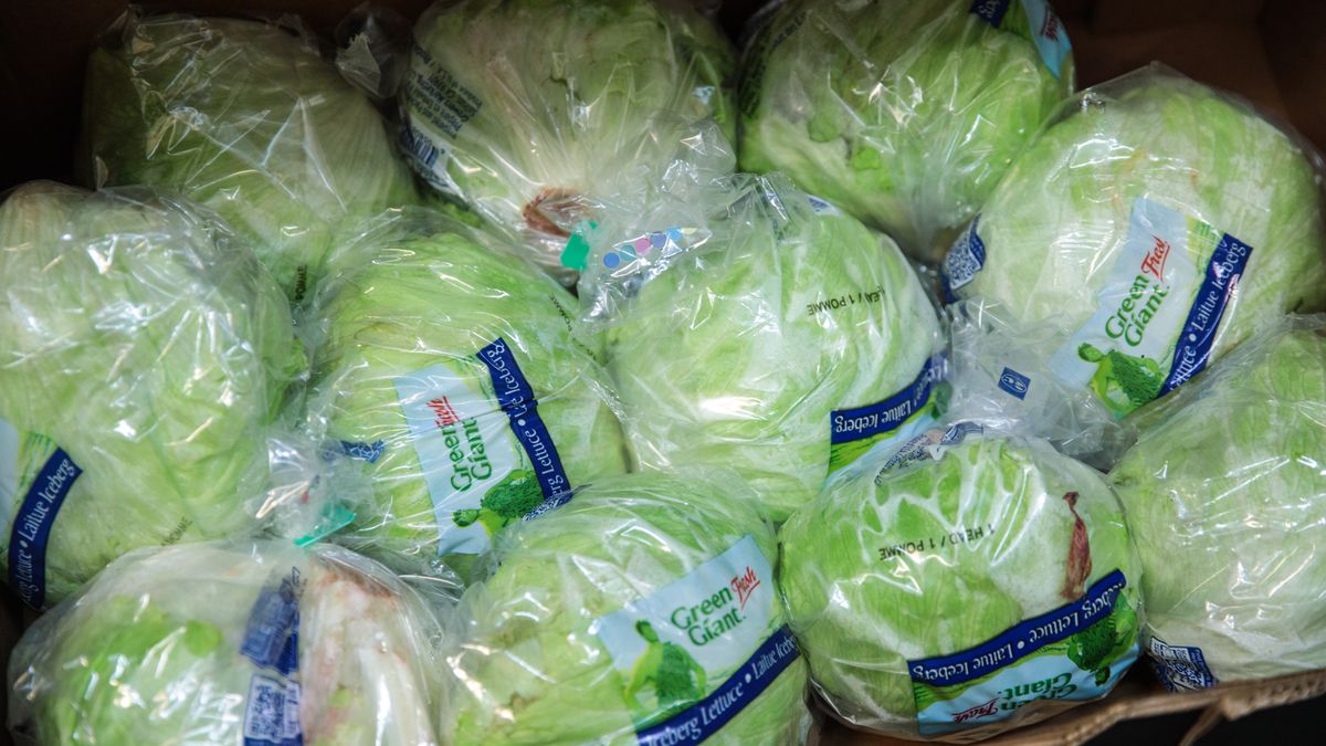 A box of iceberg lettuce is packaged for sale.